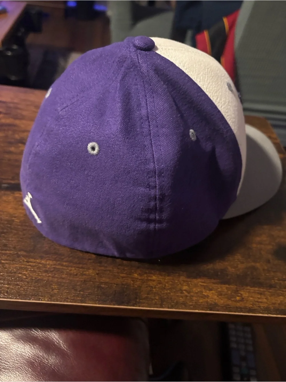 Jordan Charlotte Hornets Panel Cap in Purple, Cream & Gray
